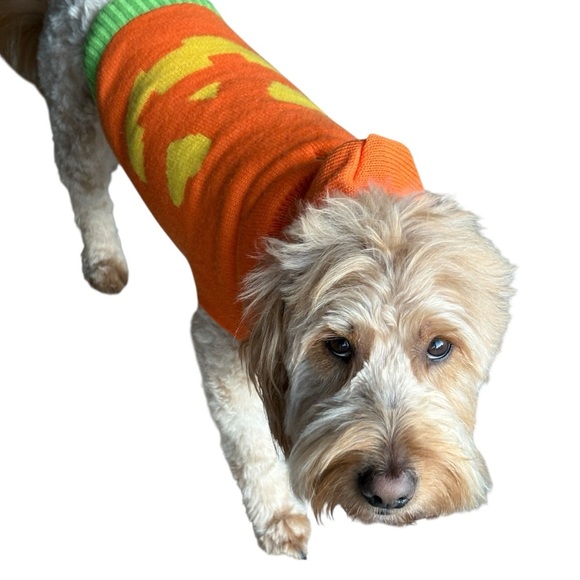 Halloween Pumpkin Hooded Dog Sweater Jack-o'-Lantern Costume - Picture 4 of 7